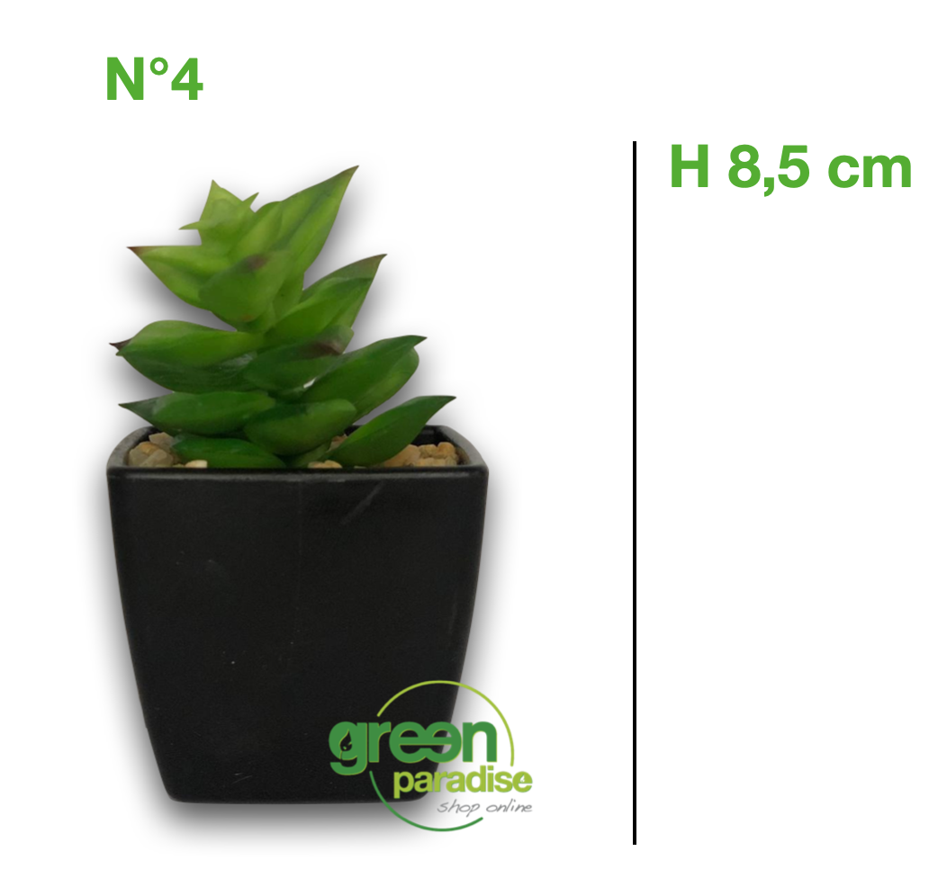 N°6 varianti pianta DECORATIVA grassa artificiale finta vaso CM 4.5X5 -  Green Paradise Napoli