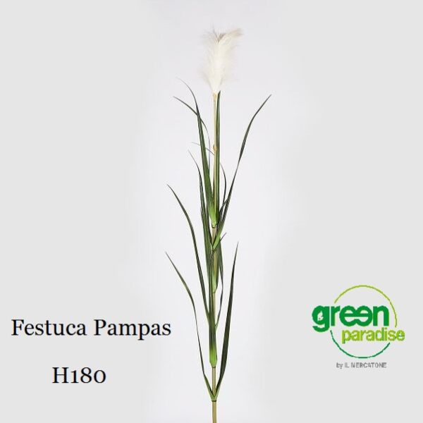 N°6 varianti pianta DECORATIVA grassa artificiale finta vaso CM 4.5X5