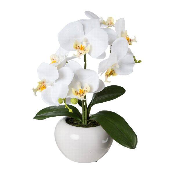 N°6 varianti pianta DECORATIVA grassa artificiale finta vaso CM 4.5X5